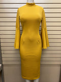 Bell Sleeved Dress